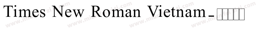 Times New Roman Vietnam字体转换